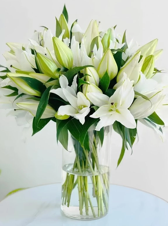 Vazoda Beyaz Lilyumlar