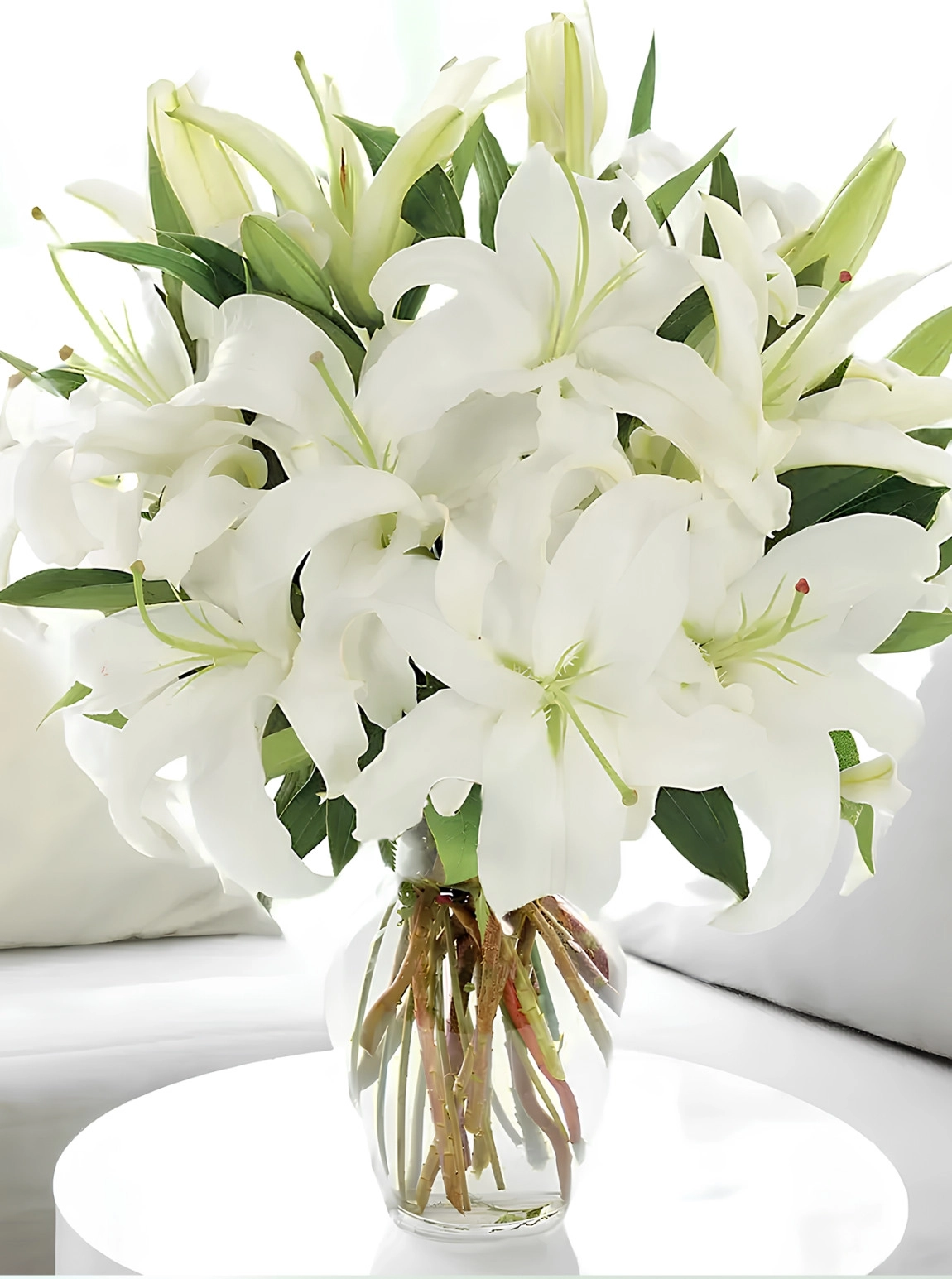 Vazoda Büyük Boy Lilyumlar